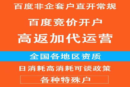 竞价推广实战经验：成功案例分享会